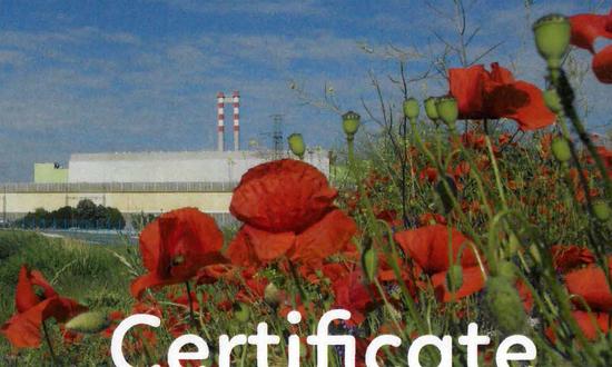 Certified supplier for the Pakš NPP